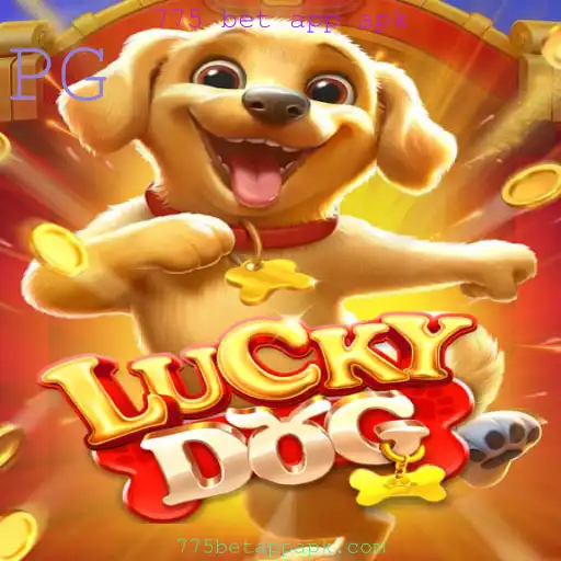 Explorando o Mundo de LuckyDog: Como Funciona e Suas Regras